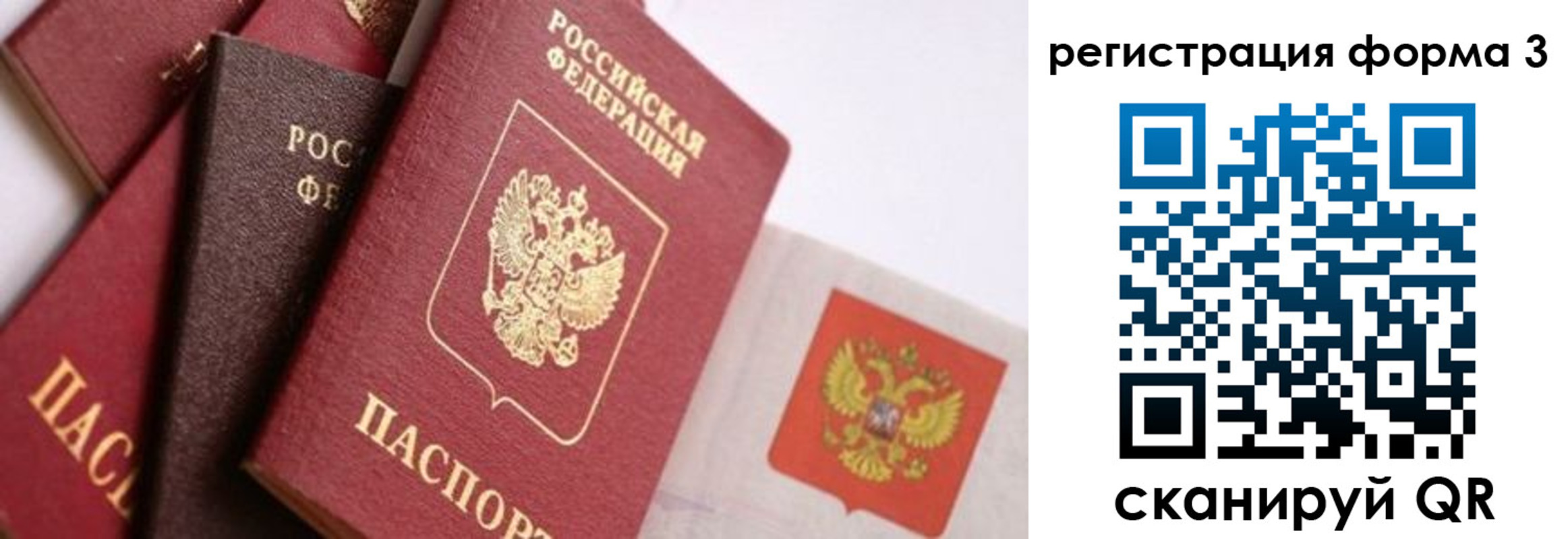 прописка гарантия в Хабаровске
